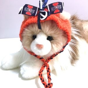 University of Illinois ILLINI Handmade Cat Hat *NEW*
